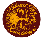 Logotype