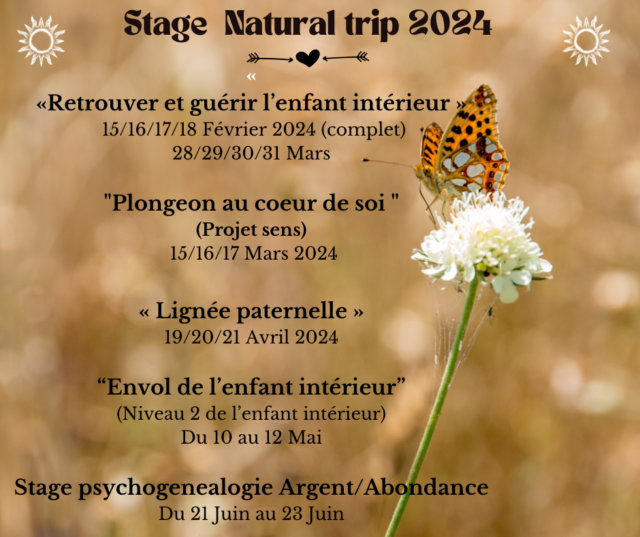 Stage chez Natural trip (2)