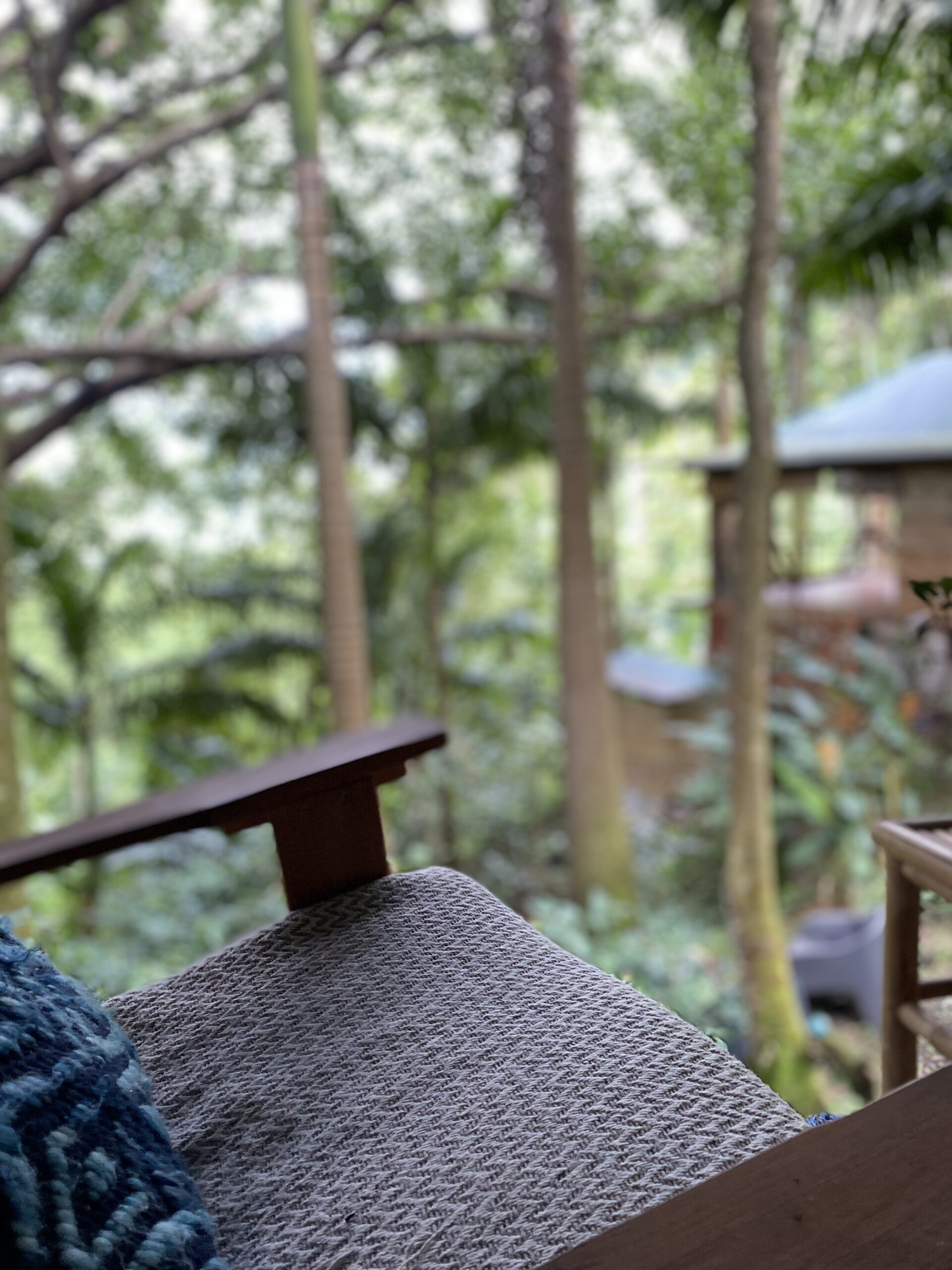 cabane mooji