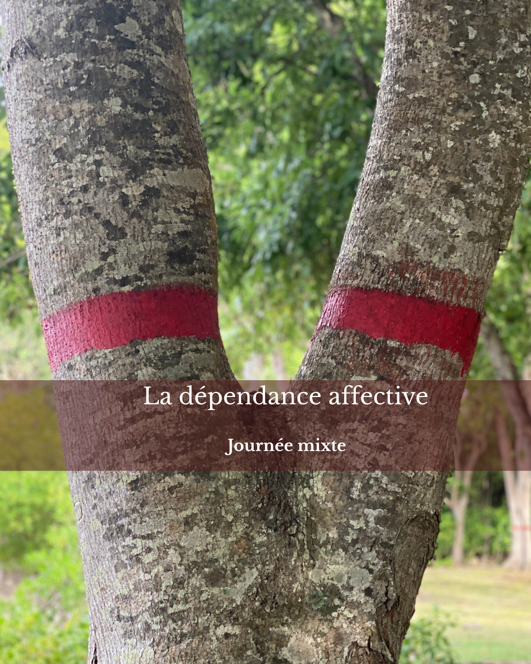 dependance
