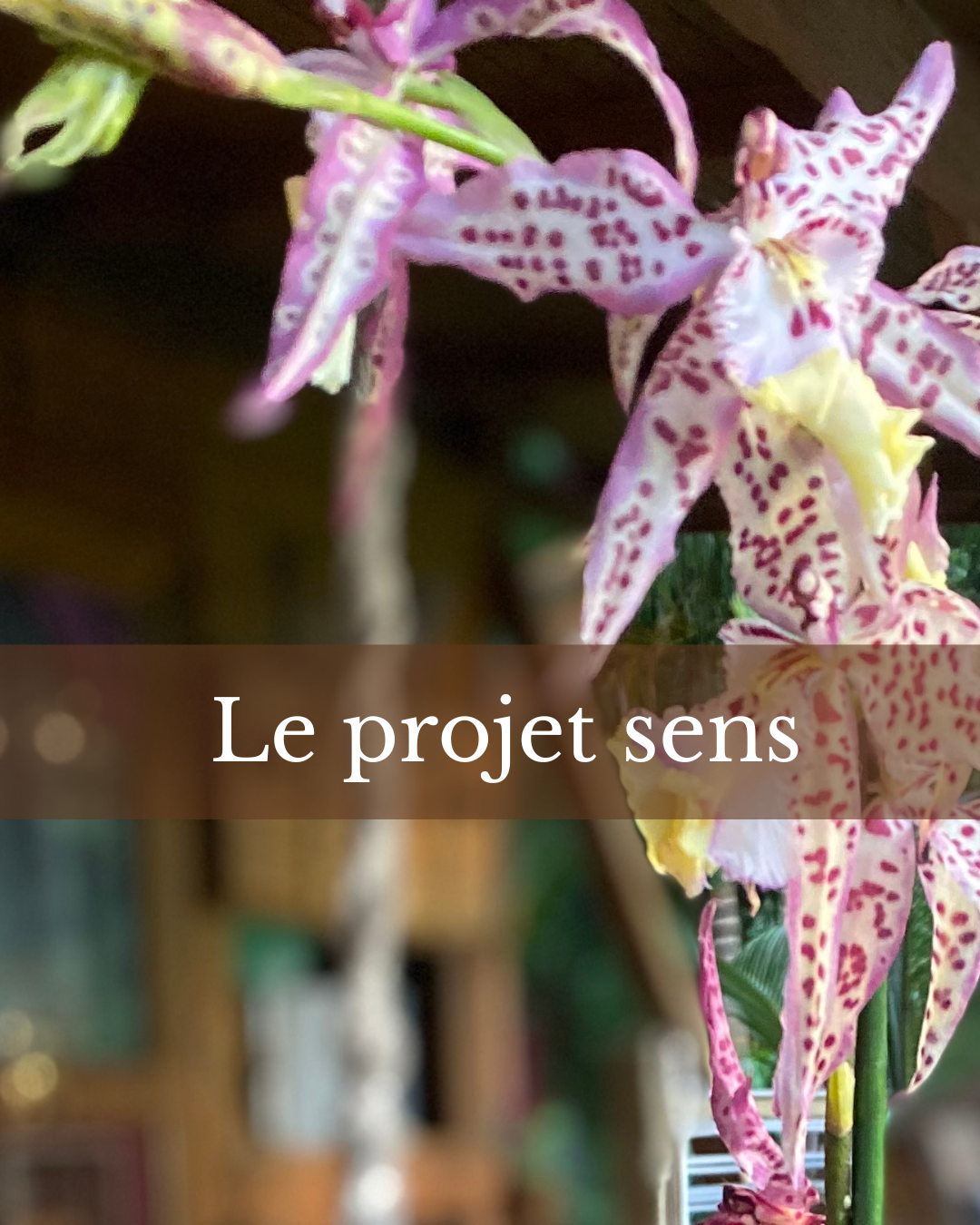 projet sens Natural trip